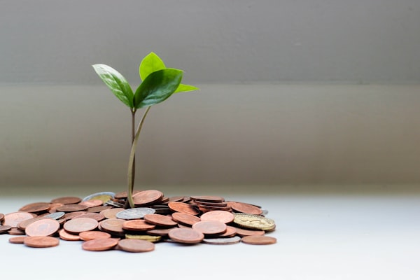 Financial planning and savings growth